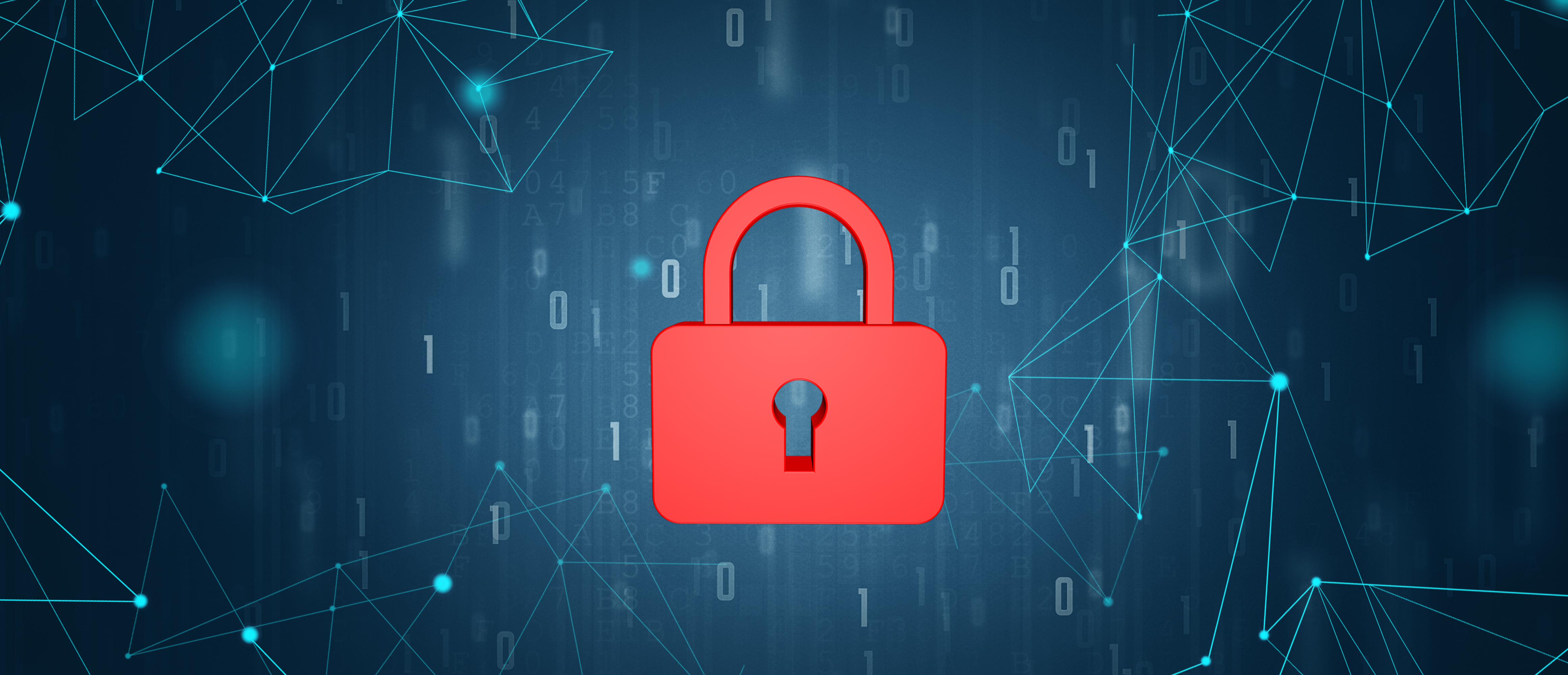 Programming Company Preview