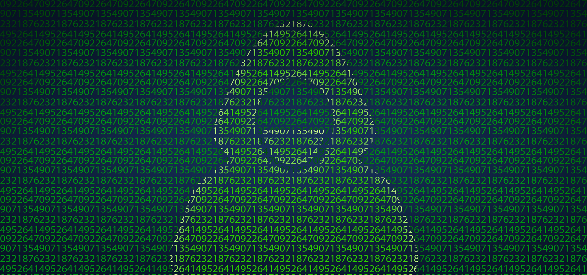 Programming Company Preview